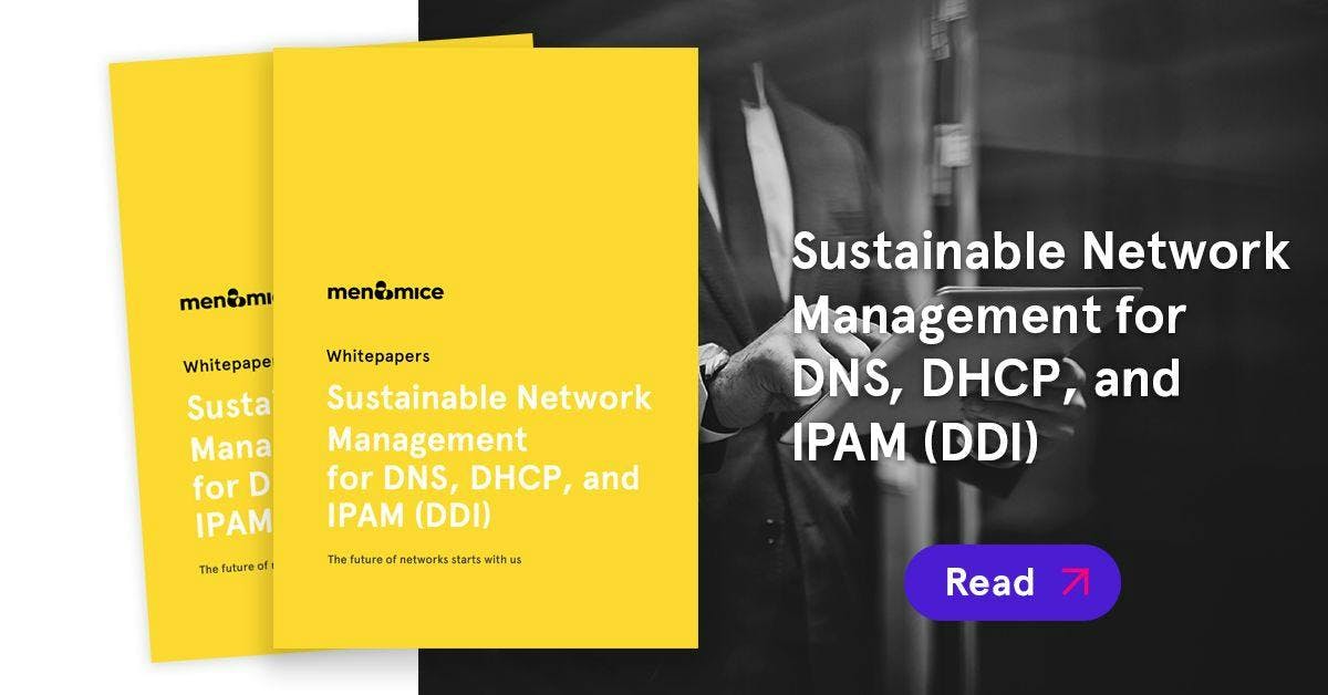 Sustainable Network Management for DDI - Whitepaper
