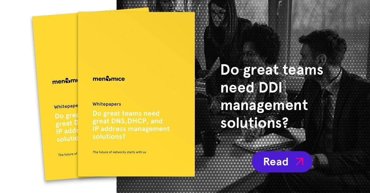 Do DDI teams need DNS, DHCP, and IP address management solutions?